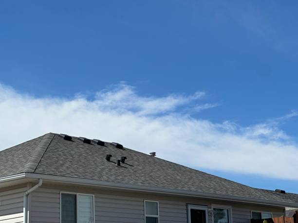 Best Steel Roofing  in Sussex, WI